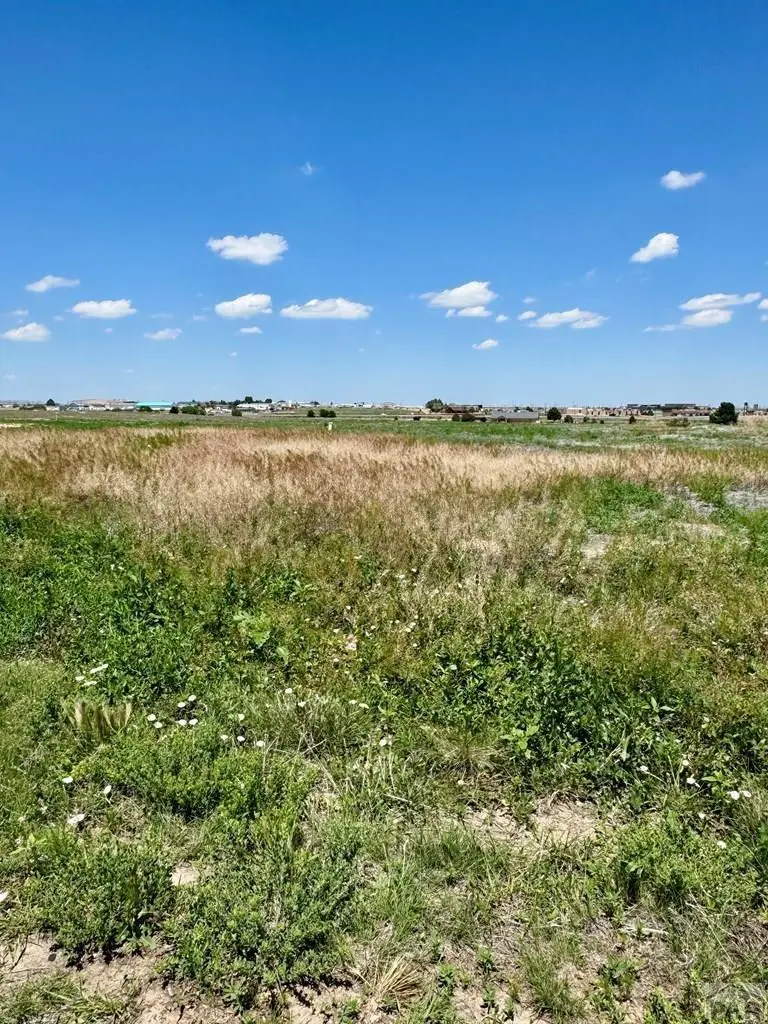 733 E Clarion Dr, Pueblo West, CO 81007 - #3