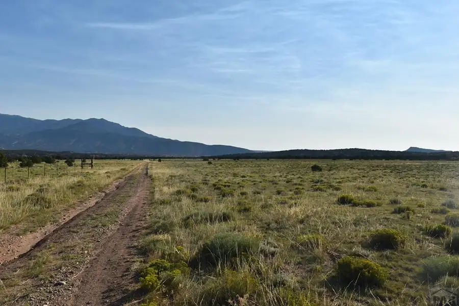 000 Lizard Ln, Gardner, CO 81040 - #3