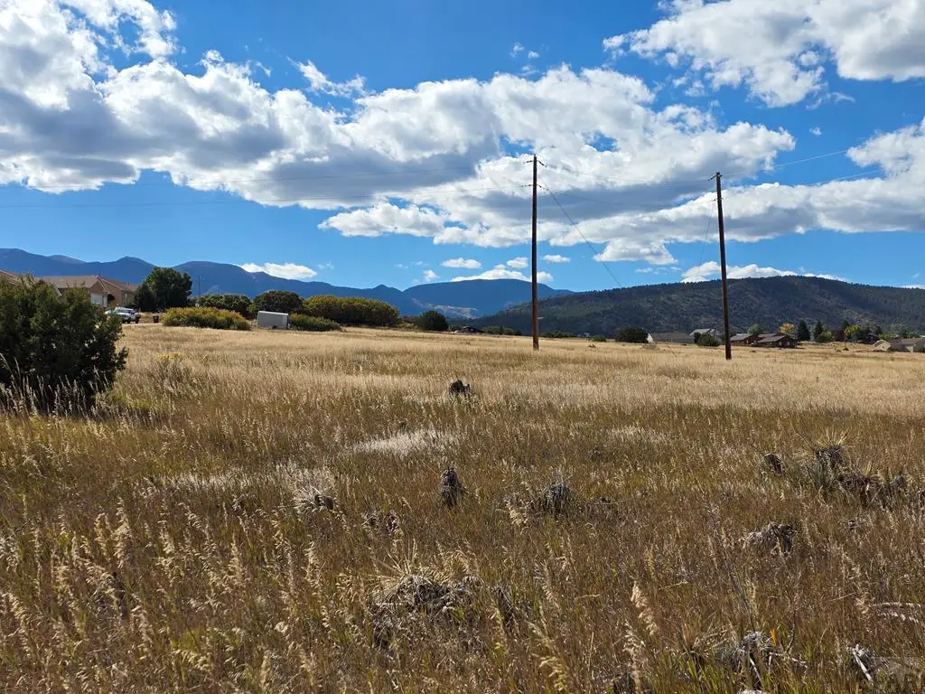 Lot 302 Beckwith Dr, Colorado City, CO 81019 - #1