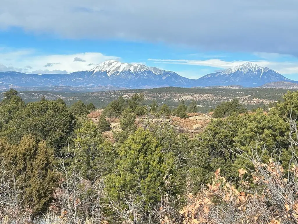TBD Primero Ranch Rd, Weston, CO 81091 - #1