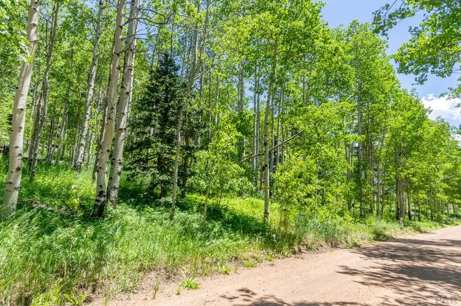 tbd Westcliffe Dr, Rye, CO 81069 - #2