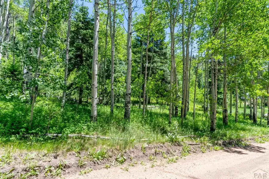tbd Westcliffe Dr, Rye, CO 81069 - #3