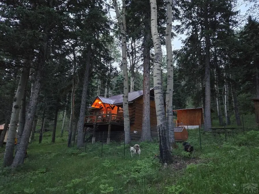 9626 State Hwy 165, Rye, CO 81069 - #2