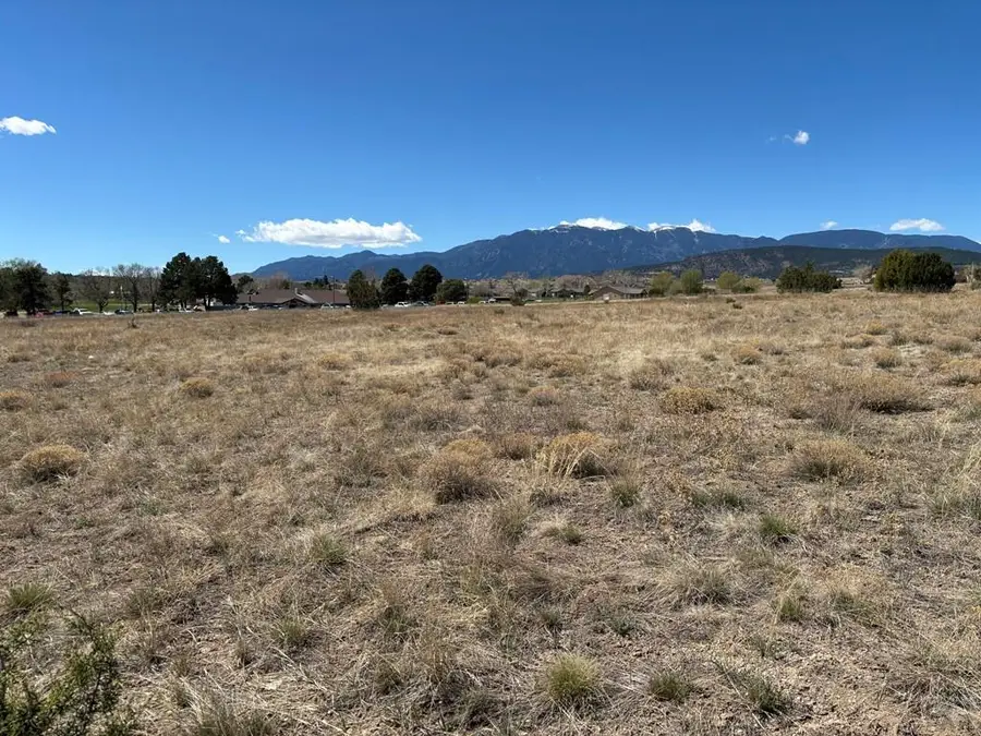 1113 Plum Creek Ln, Colorado City, CO 81019 - #3