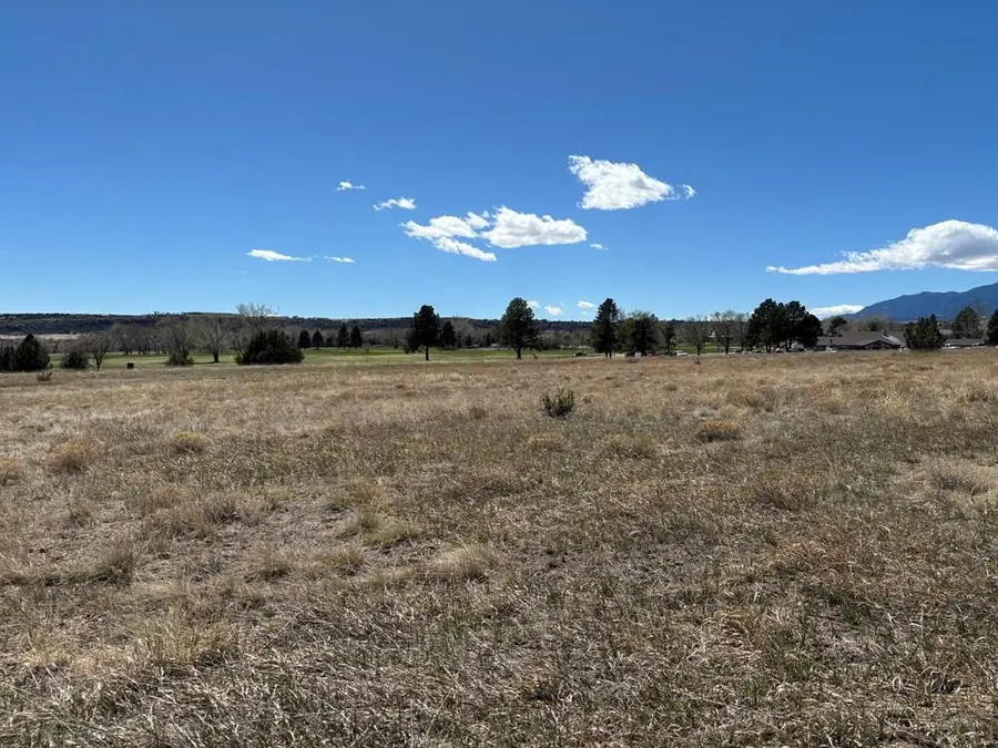 1114 Plum Creek Ln, Colorado City, CO 81019 - #2