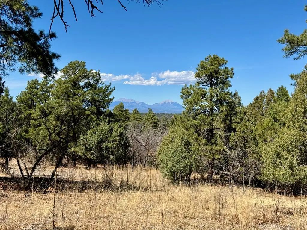 34999 Timber Park Dr, Trinidad, CO 81082 - #1
