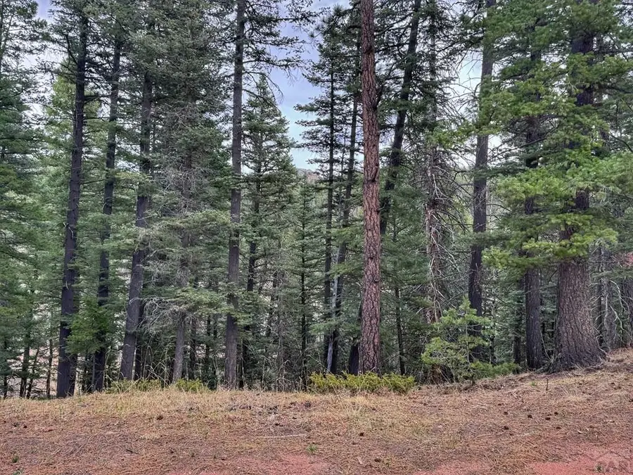 132 Aspen Acres, Rye, CO 81252 - #3
