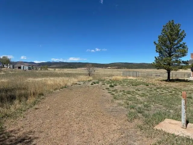 7821 W Hwy 78, Beulah, CO 81023 - #3