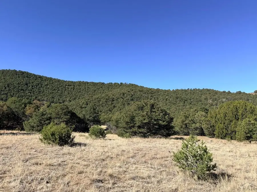 TBD Lower Mines Rd, Walsenburg, CO 81089 - #2