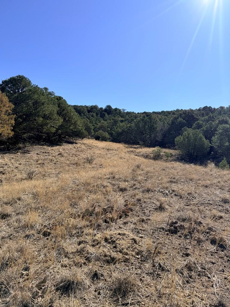 TBD Lower Mines Rd, Walsenburg, CO 81089 - #3