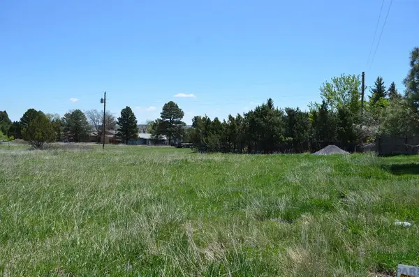 Lot 745 Anthony Ave, Colorado City, CO 81019