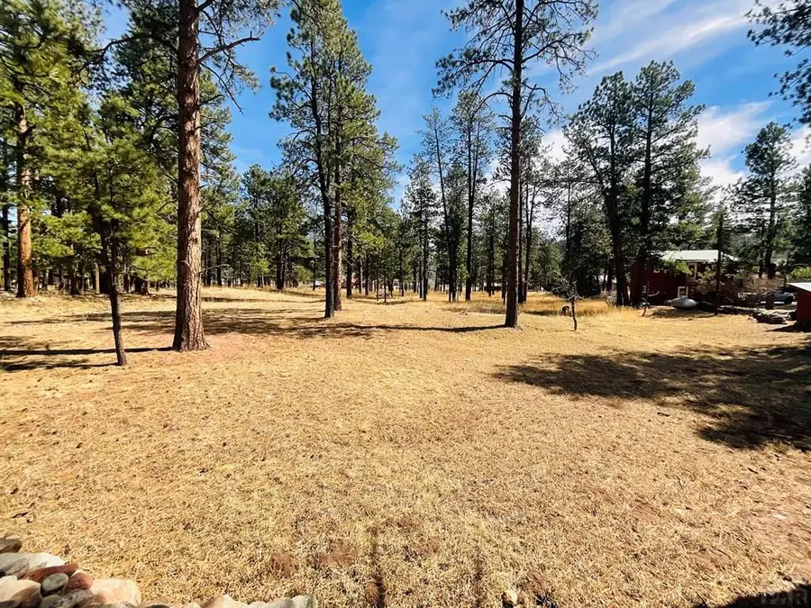 Address Withheld By Seller, Stonewall, CO 81091 - #3