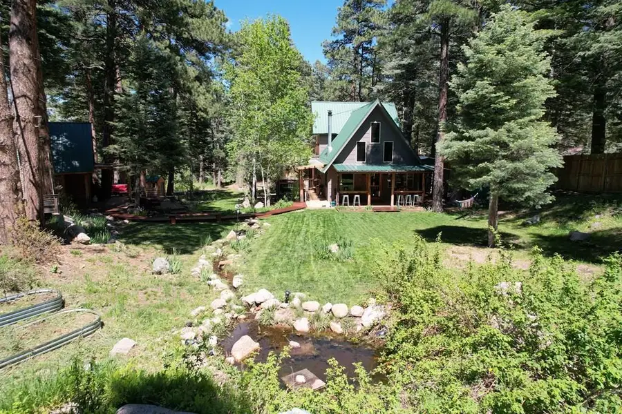 10421 Linger Longer Lane, Rye, CO 81069 - #2