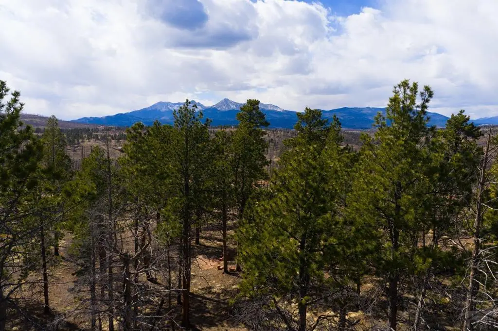 Lot 758 Forbes Pk, Fort Garland, CO 81133 - #1