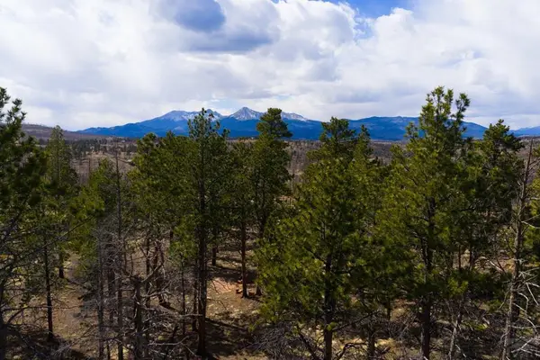 Lot 758 Forbes Pk, Fort Garland, CO 81133