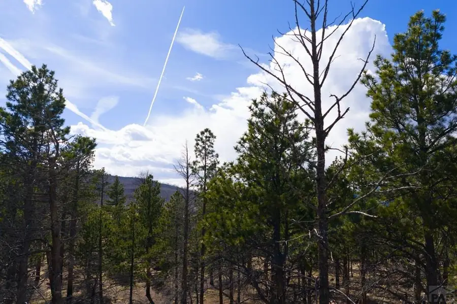 Lot 758 Forbes Pk, Fort Garland, CO 81133 - #3
