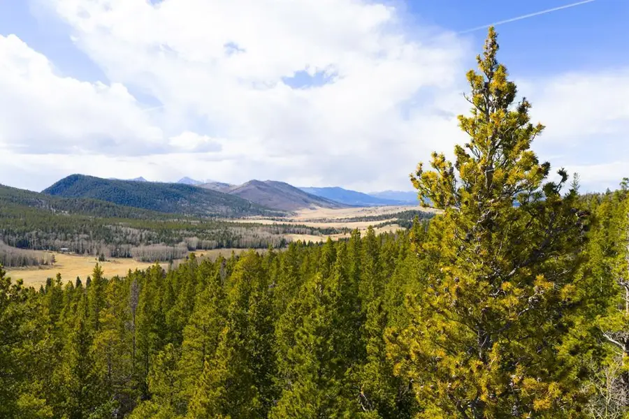 TBD Lot 3170 Purnell Ln, Fort Garland, CO 81133 - #2