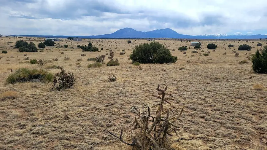 TBD County Road 504, Walsenburg, CO 81089 - #2