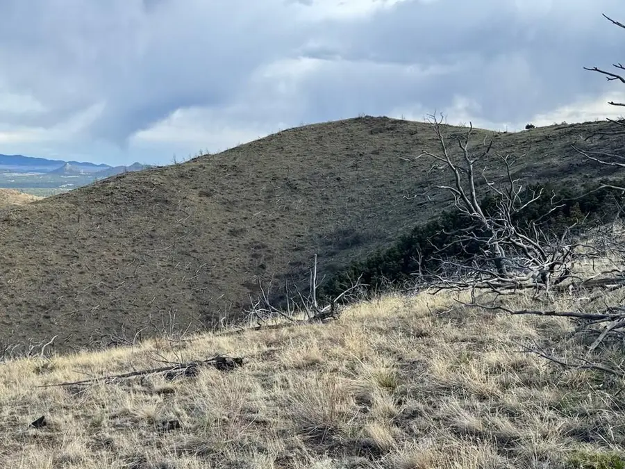 TR39 & 67 H Path, Cotopaxi, CO 81223 - #3