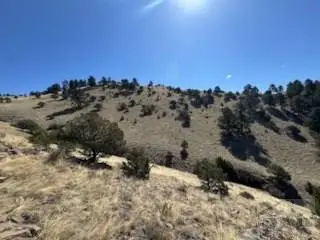 1231 &  124 Keepsake Loop, Westcliffe, CO 81252 - #2