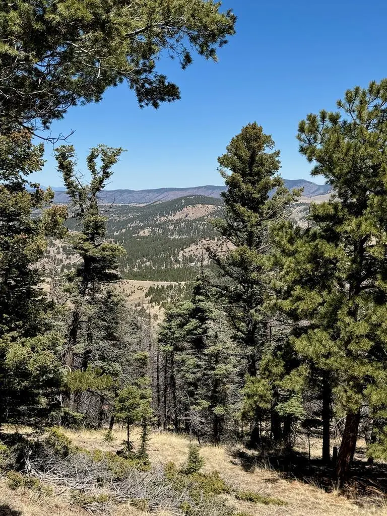 TBD Derigo Ln, Westcliffe, CO 81252 - #2