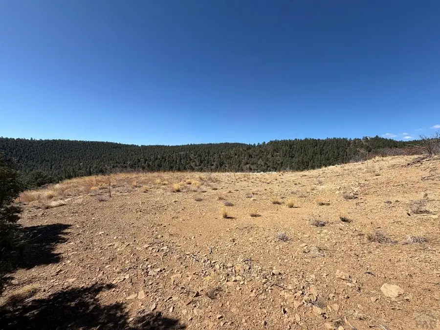 13325 Little Bear Canyon, Weston, CO 81091 - #3