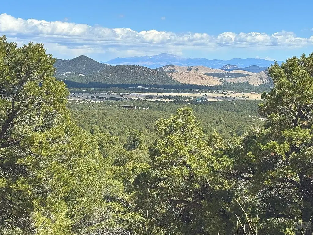 TBD - Lot 36 Corral North, Texas Creek, CO 81223 - #1
