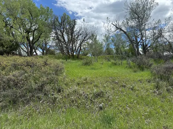 TBD W Ryus, La Veta, CO 81055