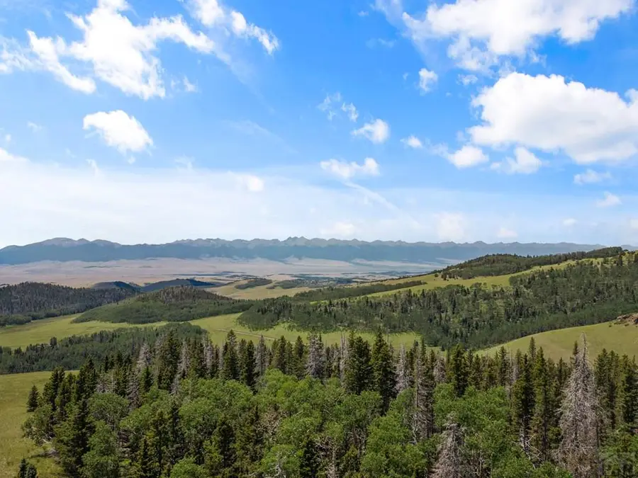 1705 Adams Ave, Westcliffe, CO 81252 - #3