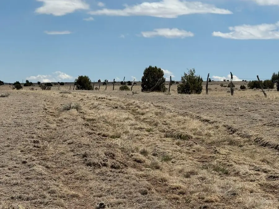 42` Cr 122, Walsenburg, CO 81089 - #3