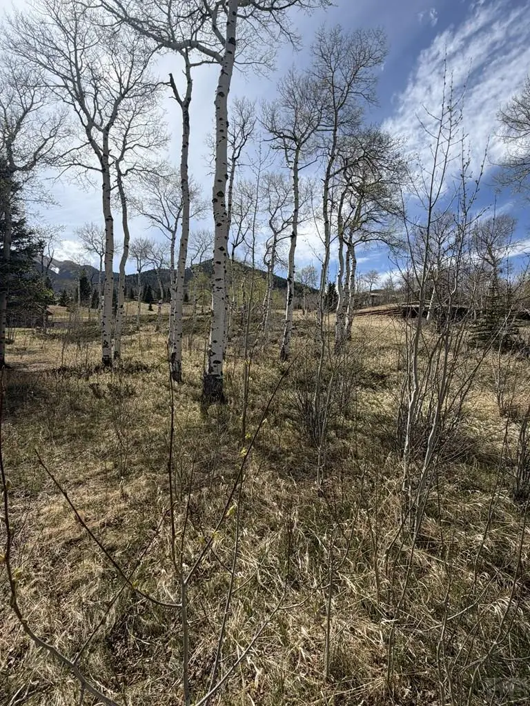 36 Baker Creek Ct, Cuchara, CO 81055 - #3