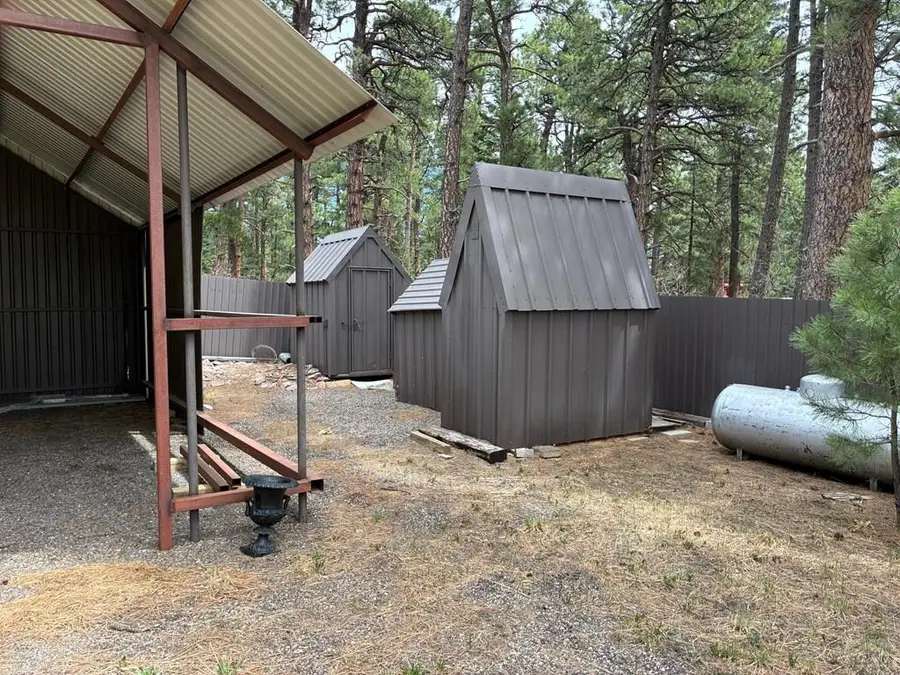 8269 Zorn Rd, Rye, CO 81069 - #3