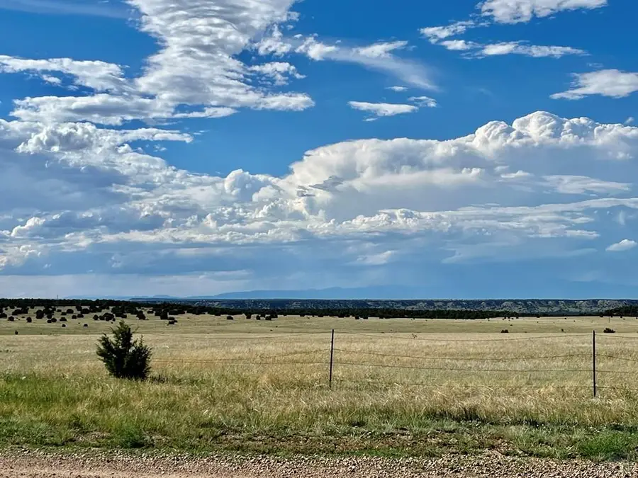 5897 Amanda Lane, Rye, CO 81069 - #3
