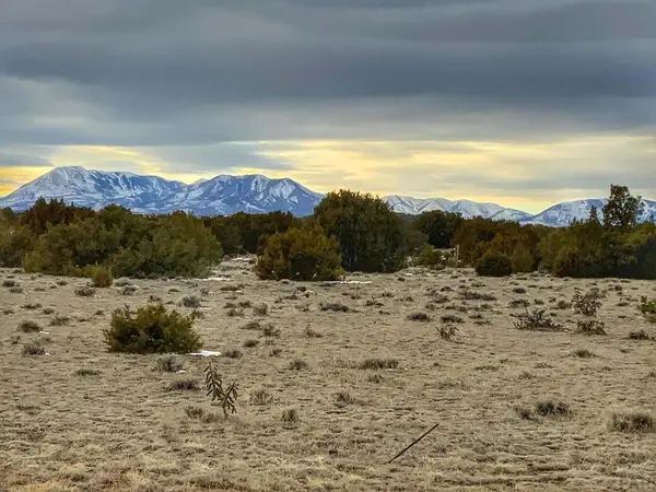 Address Withheld By Seller, Walsenburg, CO 81089