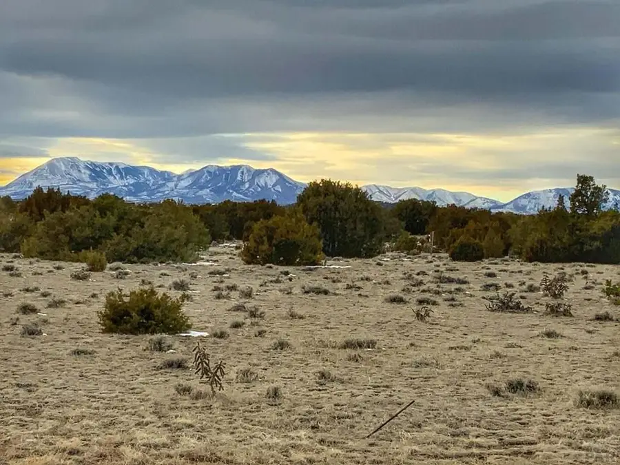 Address Withheld By Seller, Walsenburg, CO 81089 - #3