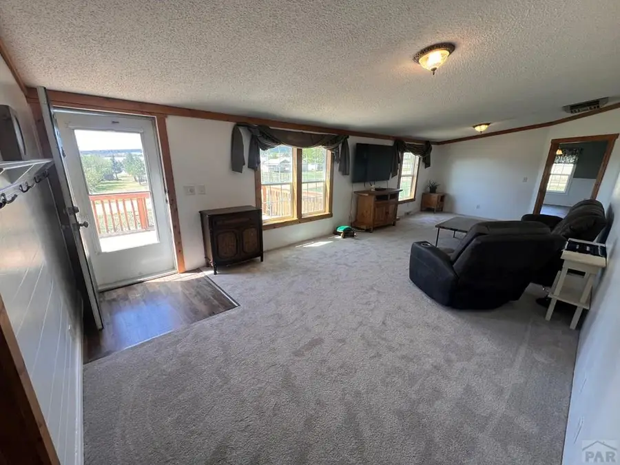 7937 Mount Baldy Dr, Rye, CO 81069 - #3