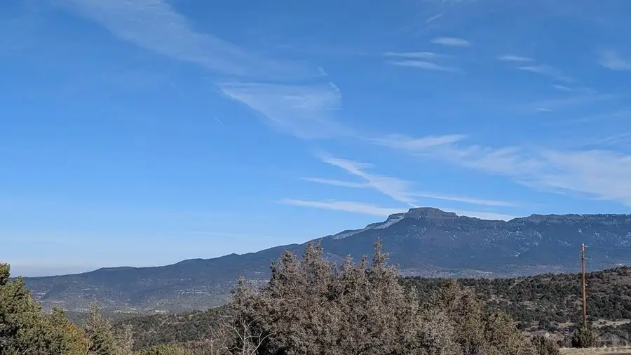 7408 Bear Paw Dr, Trinidad, CO 81082 - #3