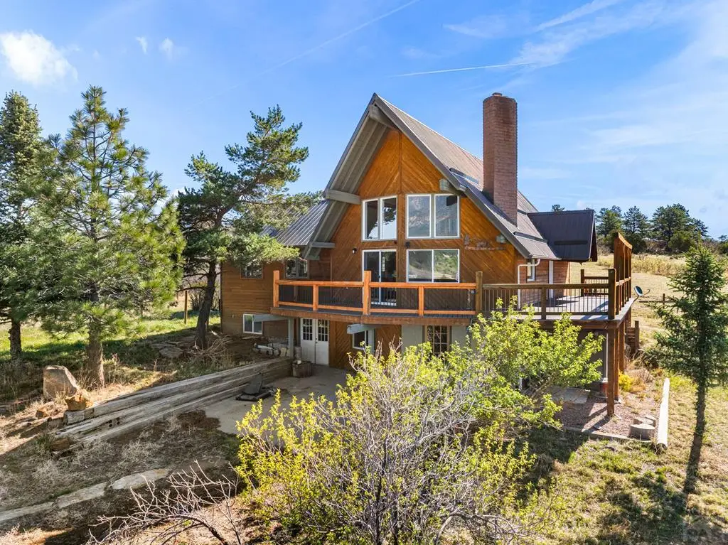 7941 Mount Baldy Dr, Rye, CO 81069 - #1