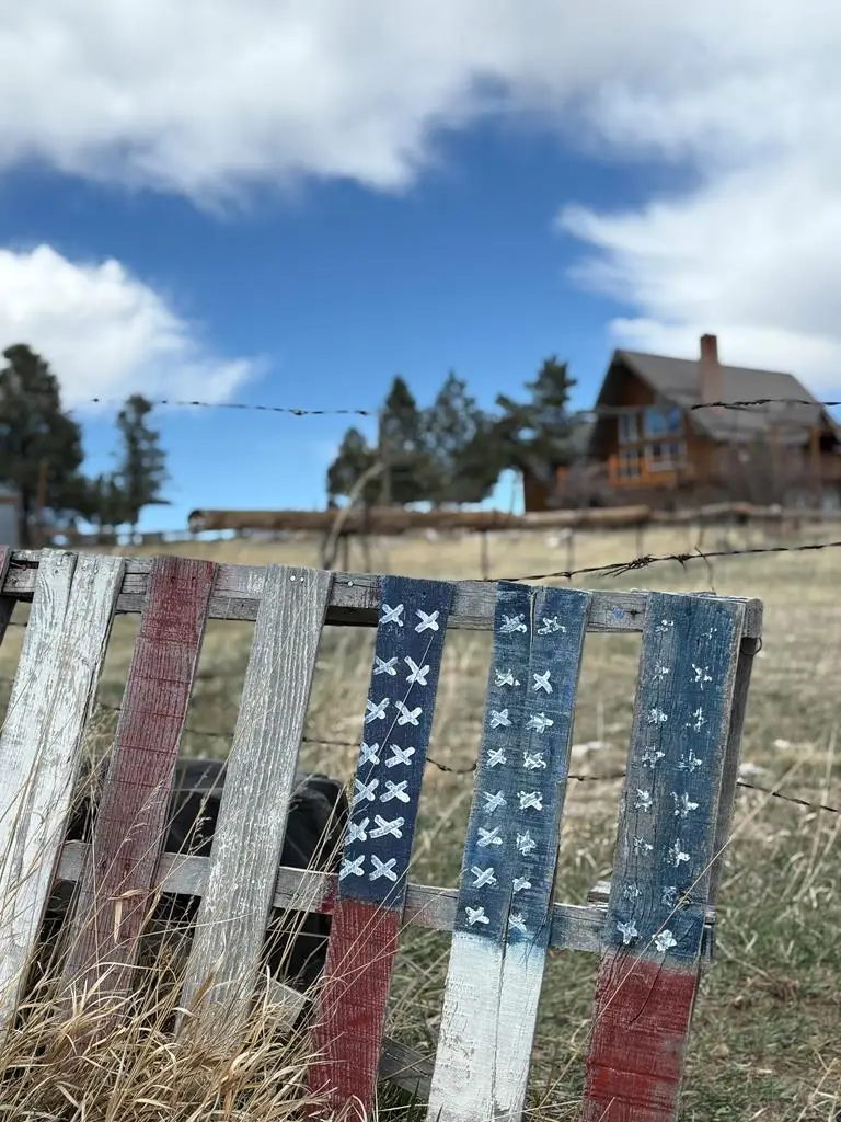 7941 Mount Baldy Dr, Rye, CO 81069 - #3