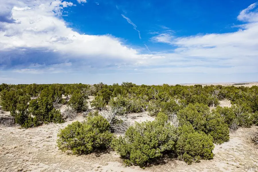 241 Morning Star Rd, Rye, CO 81069 - #2