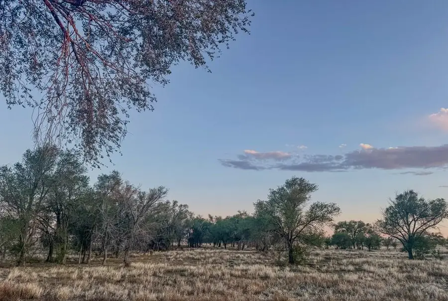 Vacant Land County Rd C, Crowley, CO 81066 - #2