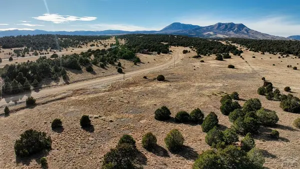 37 Navajo Ranch Resort, Walsenburg, CO 81089