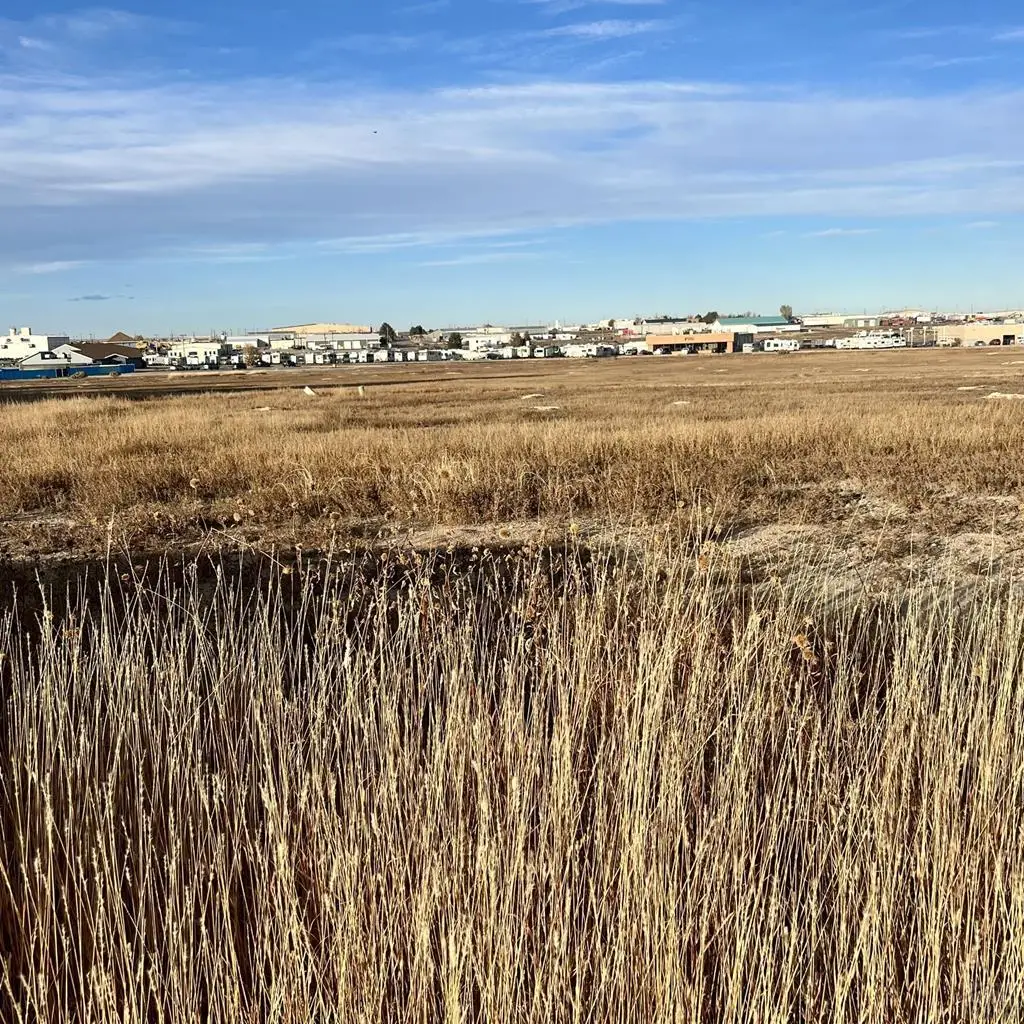 659 E Clarion Dr, Pueblo West, CO 81007 - #1