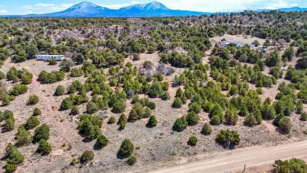 Lot 79 Navajo Ranch Resort, Walsenburg, CO 81089