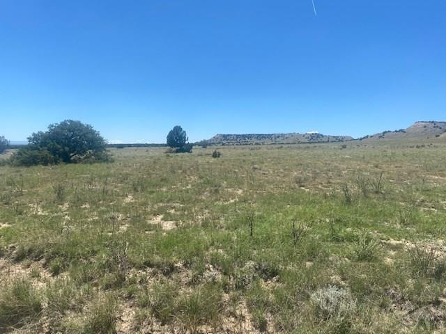 000 Longhorn Ranch, Model, CO 81059 - #2
