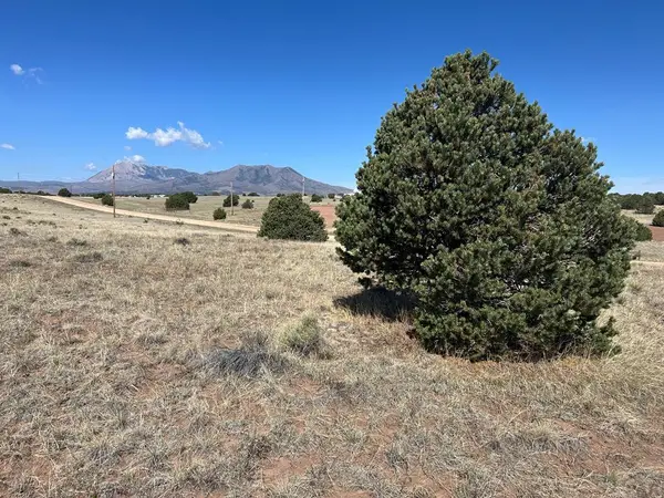 Lot 94 Navajo Ranch Resort, Walsenburg, CO 81089