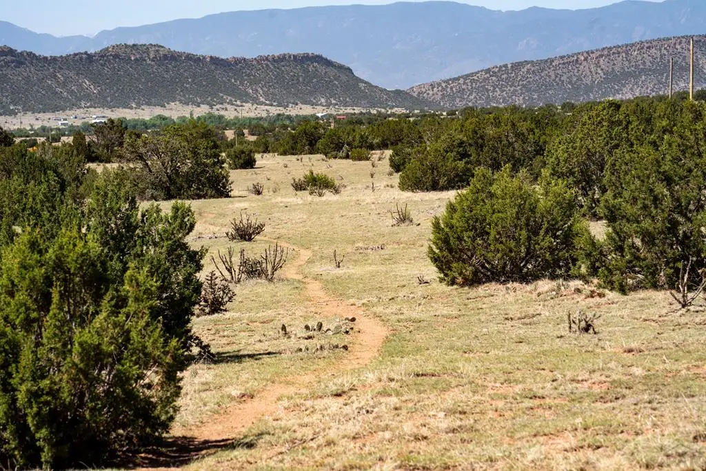TBD Lot 1 County Road 132, Penrose, CO 81240 - #1