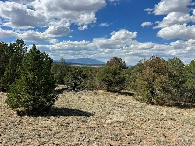 96 River Ridge Rd, Walsenburg, CO 81089 - #1