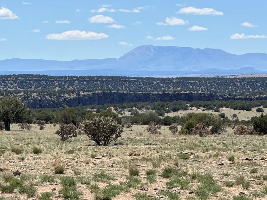 169 Tyrone Hills, Walsenburg, CO 81089 - #2