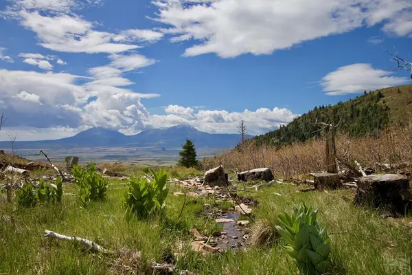 TBD Tres Valles West #36, La Veta, CO 81055